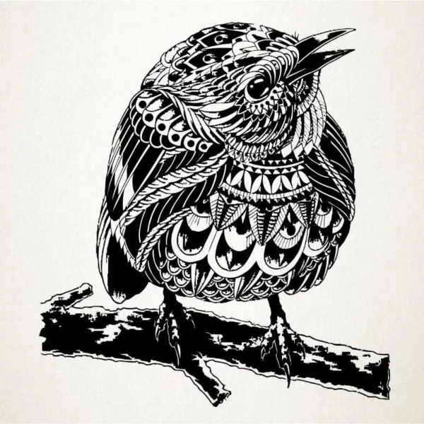bird